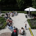 IMG_1988169