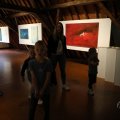 IMG_1988349