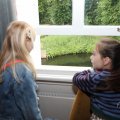 IMG_1988363