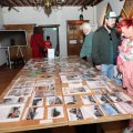 IMG_1988366
