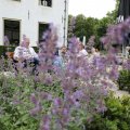 IMG_1988405