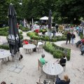 IMG_1988586
