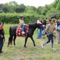 IMG_1988789