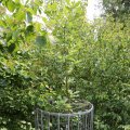 IMG_1988917