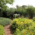 IMG_1989086