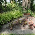 IMG_1989137