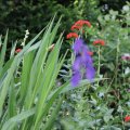 IMG_1989166