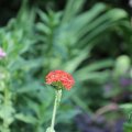 IMG_1989169