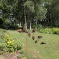 IMG_1989206