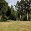 IMG_1989273