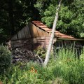 IMG_1989274