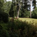 IMG_1989280