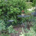 IMG_1989288