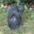 IMG_1989291