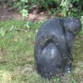 IMG_1989292