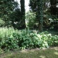 IMG_1989299