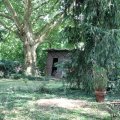 IMG_1989300