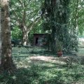 IMG_1989302