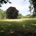 IMG_1989304