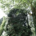 IMG_1989312