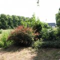 IMG_1989313