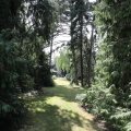 IMG_1989322