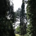 IMG_1989325