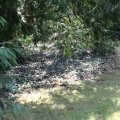 IMG_1989327
