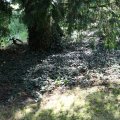 IMG_1989328
