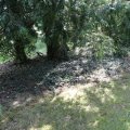 IMG_1989329
