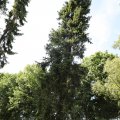 IMG_1989330