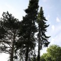 IMG_1989332