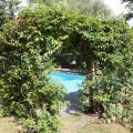 IMG_1989338