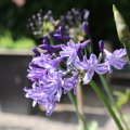 IMG_1989340