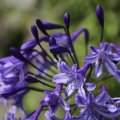 IMG_1989341